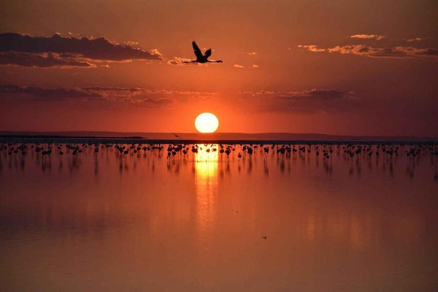 Cappadocia Amazing Sunset Tour To Salt Lake - What to bring and how to plan the evening