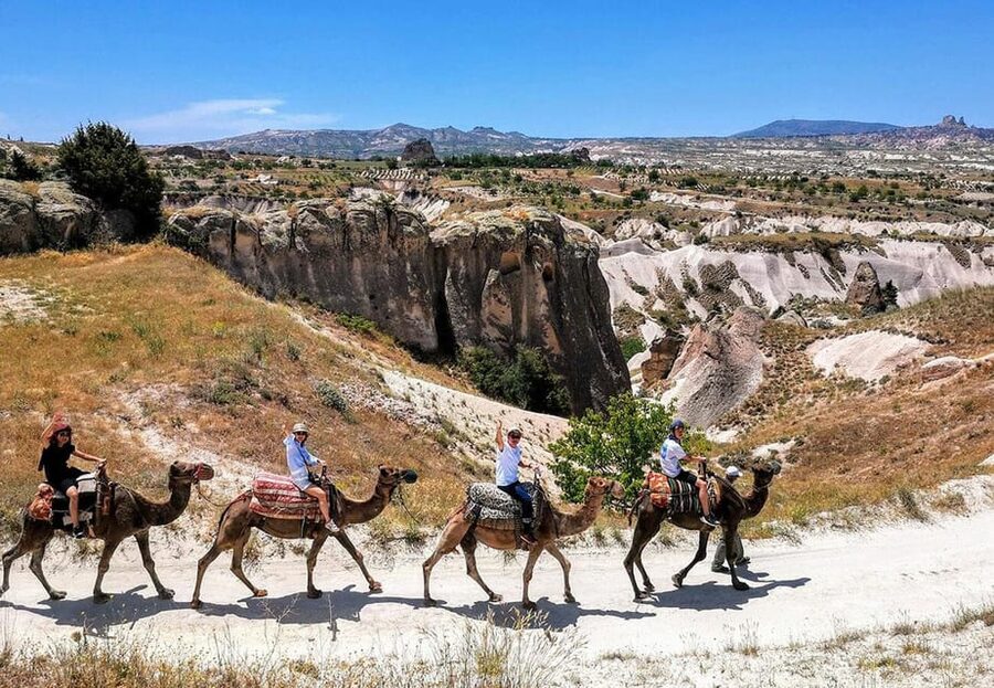 Cappadocia: Camel Safari - Hotel pickup from five Cappadocia towns