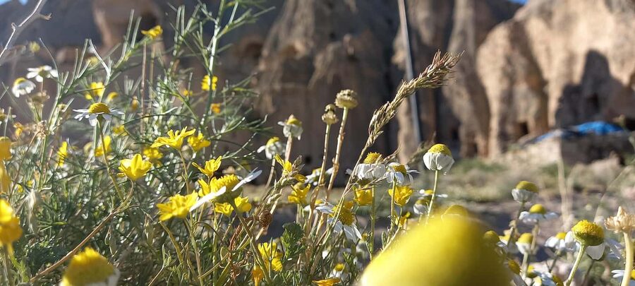 Cappadocia: Derinkuyu, Selime, Nar Crater Lake & Ihlara Tour - The food and tea stop near Pigeon Valley