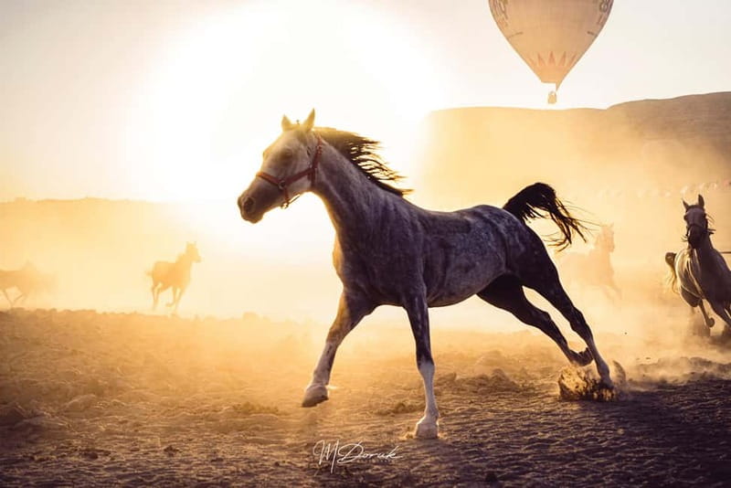 Cappadocia: Fascinating Horse Tour in Göreme Valleys - Sunrise, sunset, and the changing light