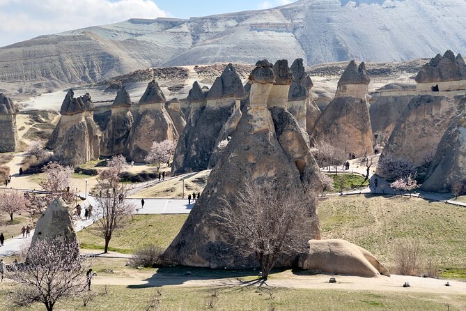 Cappadocia : Full Day Private Tour - Devrent Valley turns rock into an imagination test