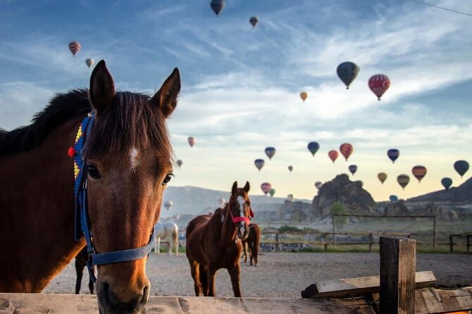 Cappadocia Horse Riding Experience Sunrise Sunset Daytime - Key points before you saddle up