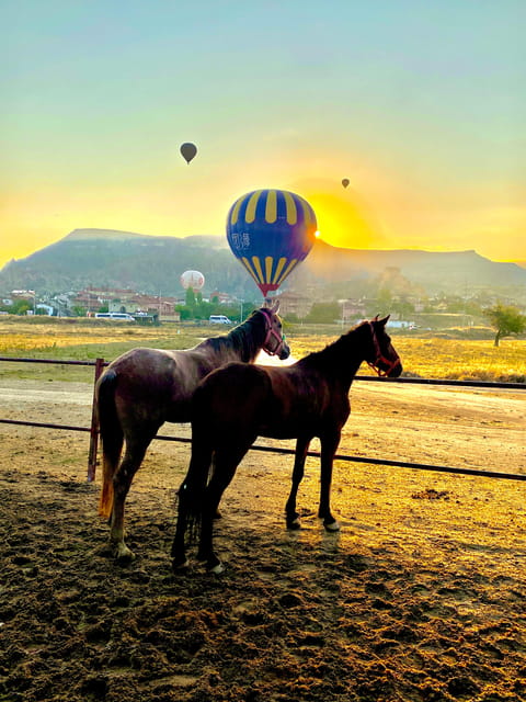 Cappadocia's Sunrise Horseback Riding - Choosing a horse and starting safely