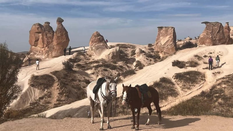 Cappadocia: Small-Group North Tour - Göreme Open-Air Museum and its frescoed churches