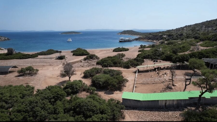Cesme: Islands and Bays Boat Trip with BBQ Lunch - How much value do you get for $71?