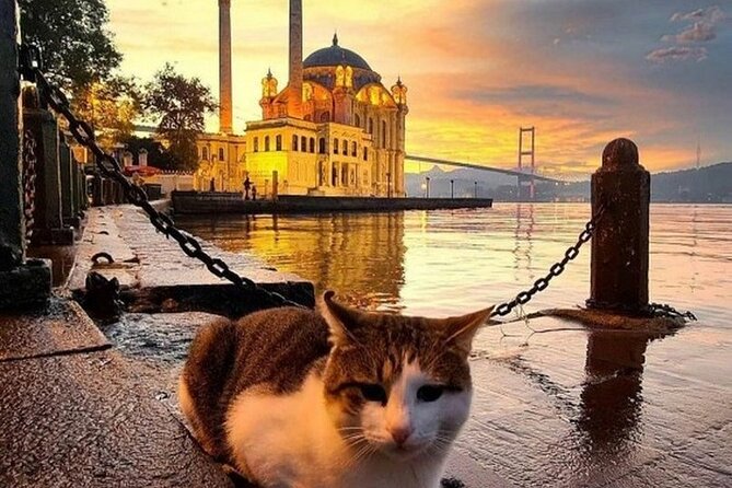 Circle Istanbul (Extraordinary Istanbul) - Balat and Fener show Istanbul’s layered neighborhoods