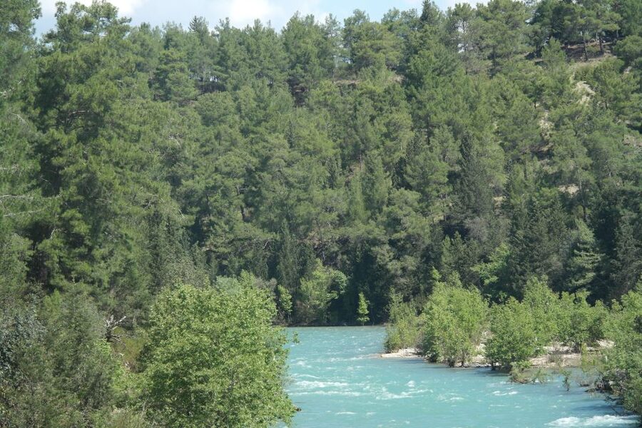 City of Side: Eagle Canyon and Selge Ancient City Day Trip - Guide quality and the historical side