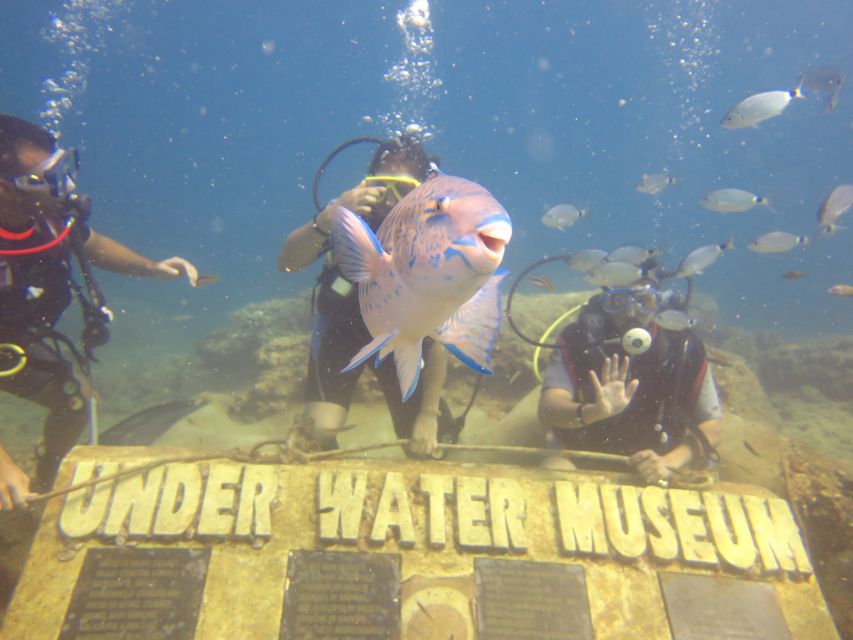 City of Side: Scuba Diving with Lunch - FAQ