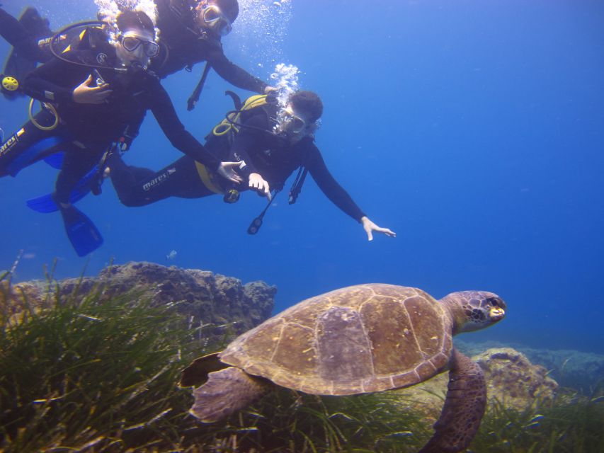 City of Side: Underwater Museum Scuba Diving Visit - The first 20-minute visit among the statues