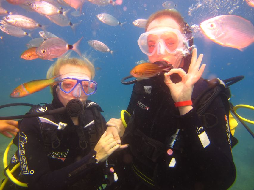 City of Side: Underwater Museum Scuba Diving Visit - What the $50 price really covers