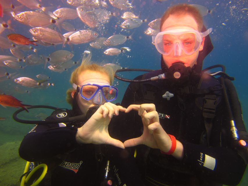 City of Side: Underwater Museum Scuba Diving Visit - Who should book this Side outing