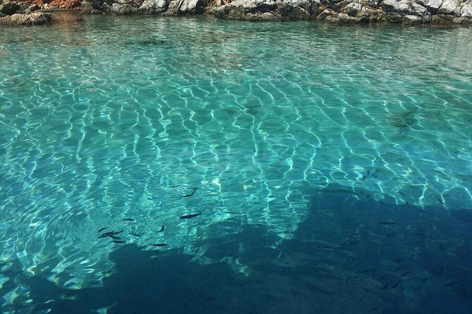 Daily Boat Trip in Bodrum with Lunch - Crew style and the shared-boat experience