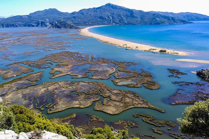 Dalyan Day Trip with Mud Bath and Turtle Beach From Fethiye - Lunch at Denizkızı Restaurant