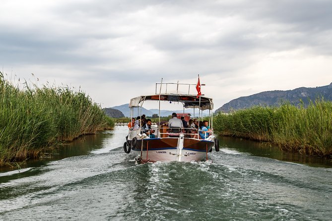 Dalyan Mud Baths and Turtle Beach Day Trip from Bodrum - What the Guides and Group Size Mean