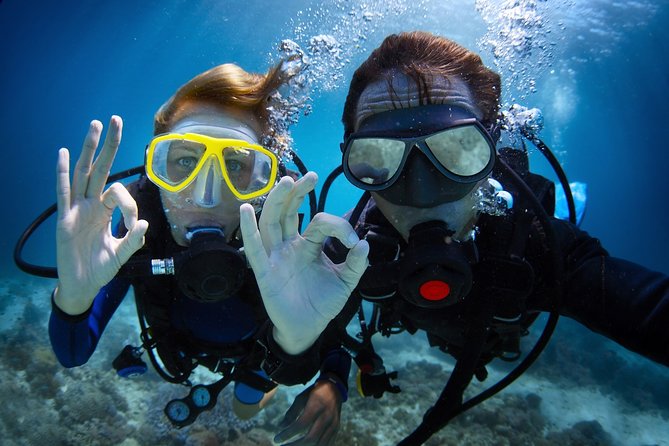 Diving in the Mediterranean sea - What this Antalya boat day is really like