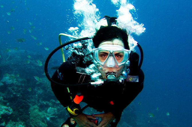 Diving in the Mediterranean sea - Is $57.82 good value?