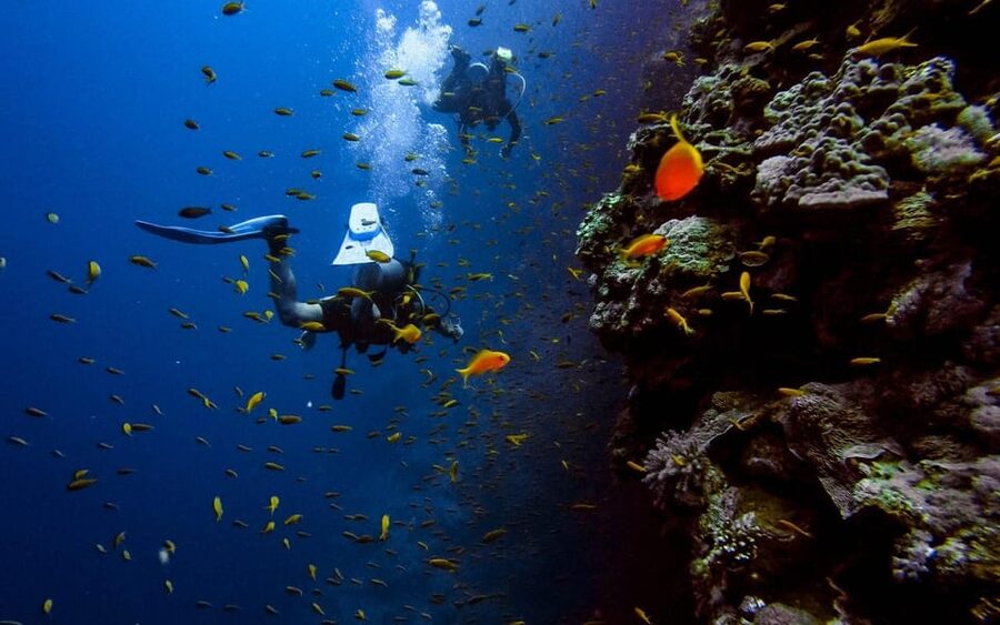 Diving Tour from Alanya & Side with Lunch - 2 Dives Included - Boat comfort and seasickness