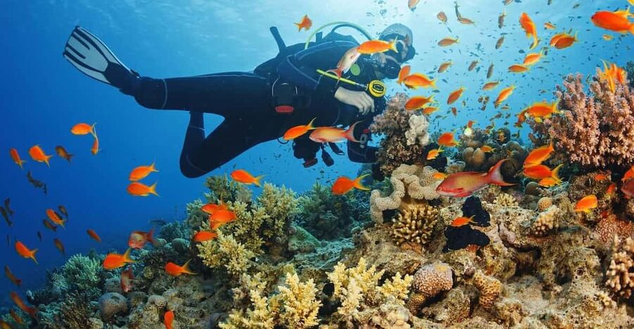 Diving Tour from Alanya & Side with Lunch - 2 Dives Included - How it suits first-timers and experienced scuba participants