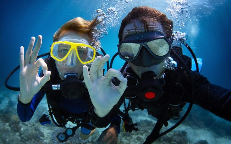 Diving Tour from Alanya & Side with Lunch - 2 Dives Included - Booking details worth checking first