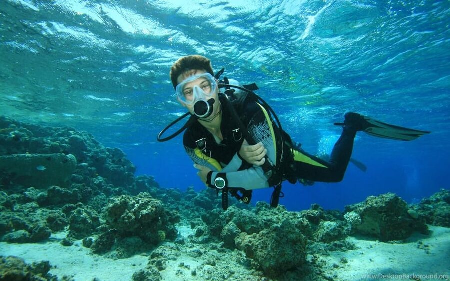 Diving Tour from Alanya & Side with Lunch - 2 Dives Included - Should you book the Side scuba tour?