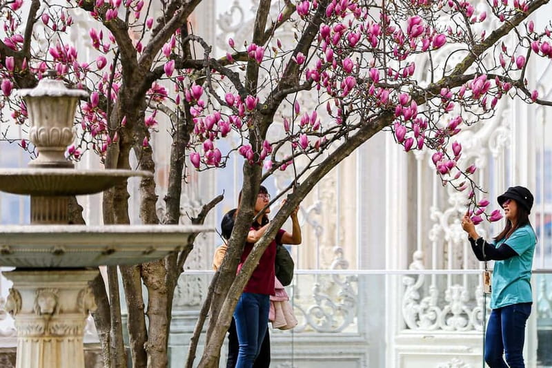 Dolmabahce Palace & Harem Fast-Track Entry with Audio Guide - The Harem Requires Extra Time