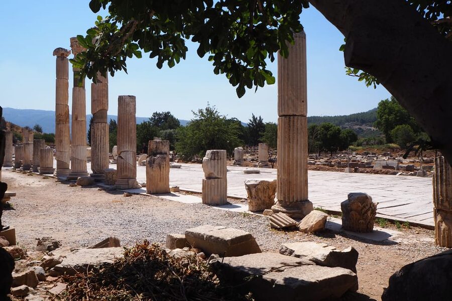 Ephesus: Half-Day Tour from Kusadasi - Guides and language choices