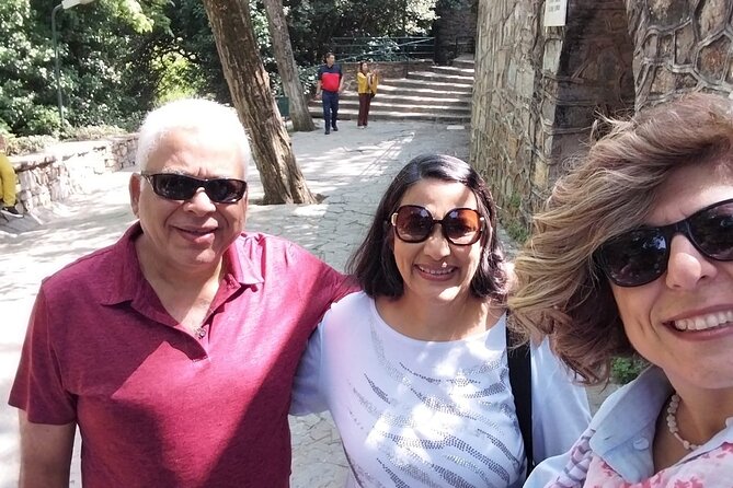 Ephesus Temple of Artemis and House of Mary Private Half Day Tour - Pausing at the Temple of Artemis