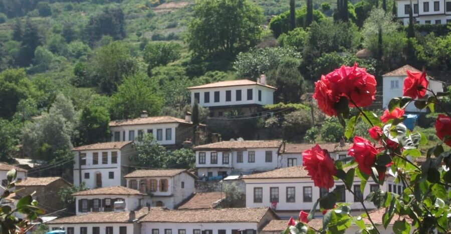 Ephesus, Virgin Mary's House & Sirince Village from Izmir - Should you book this Ephesus tour?