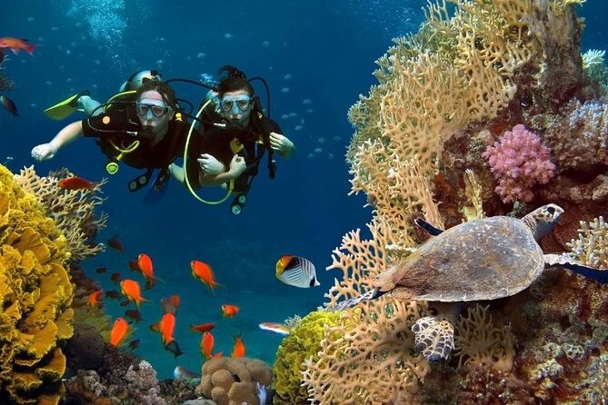 Exciteful Scuba Diving Experience in Antalya - Hotel pickup at 10:00 am