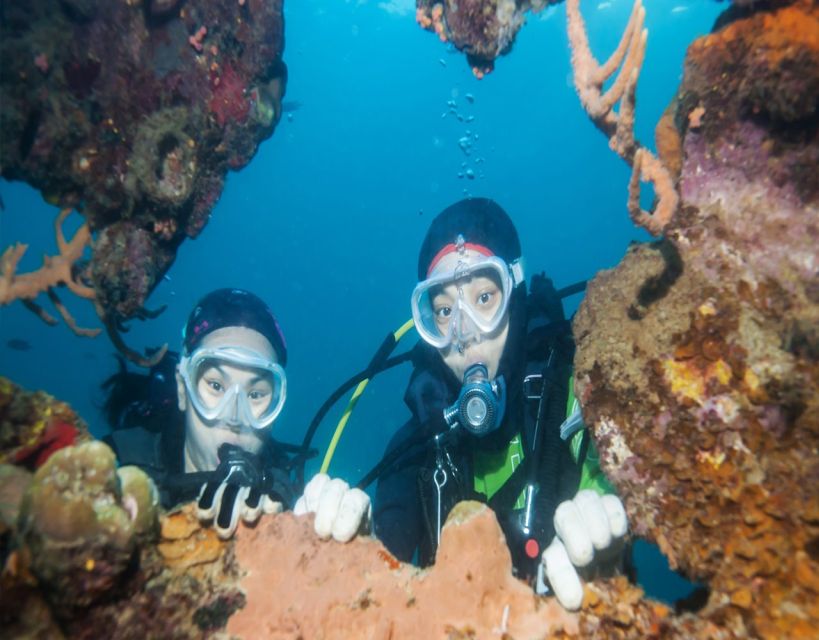 Fethiye: 2 Guided Scuba Dives with Lunch and Hotel Transfers - What the Fethiye scuba day is really like