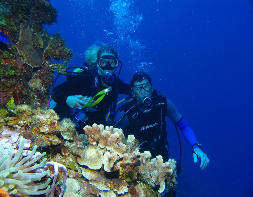 Fethiye: 2 Guided Scuba Dives with Lunch and Hotel Transfers - First stop: fish, reefs, and a short introduction
