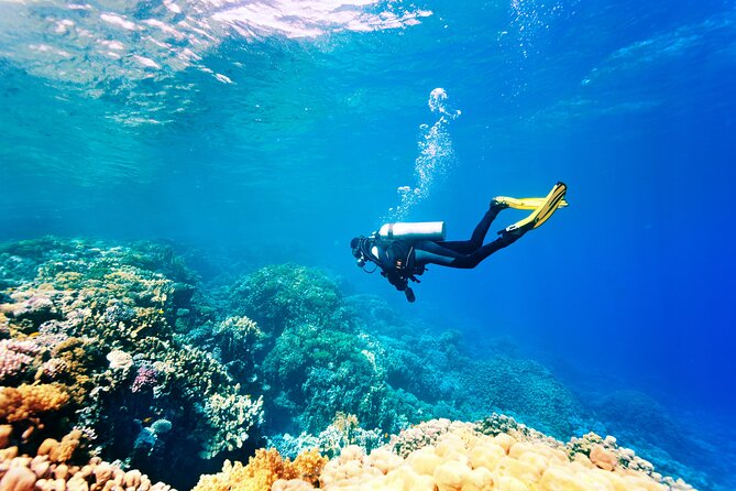 Fethiye Scuba Diving Experience - Key points to know before booking