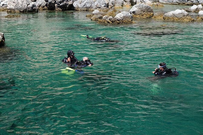 Fethiye Scuba Diving Experience - The first underwater session: practice, fish, and caves