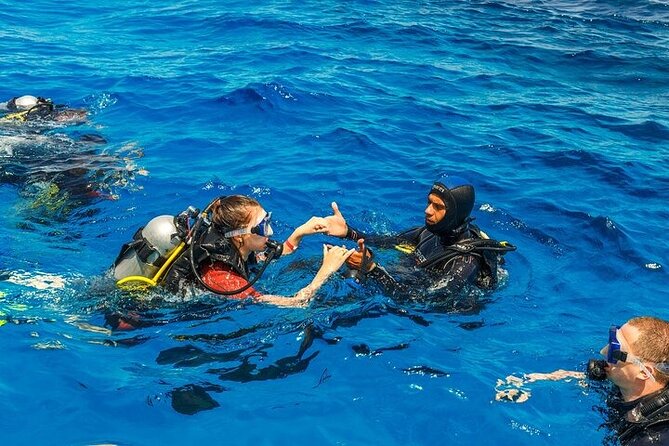 Fethiye Scuba Diving with Transfer, 2 Dives and Lunch - Key points to know before booking