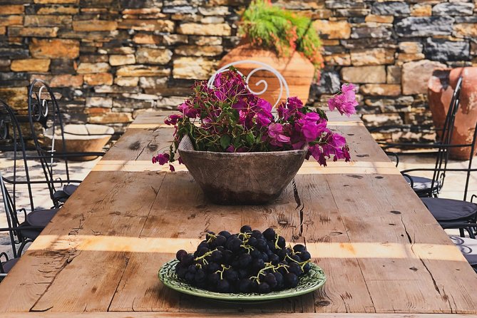 Food and Wine pairing Dinner at Karnas Vineyards Bodrum - Who will enjoy this vineyard dinner