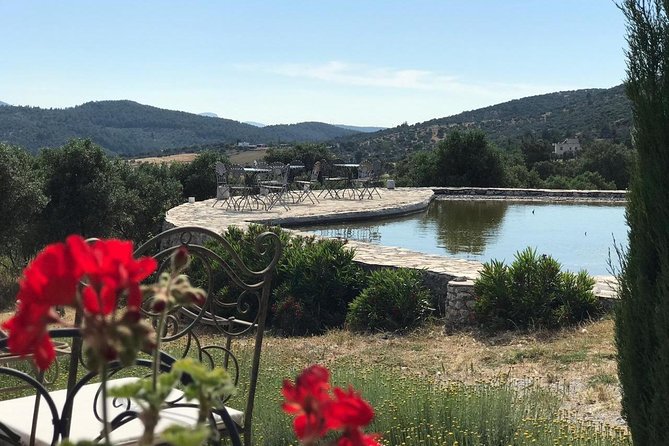 Food and Wine pairing Dinner at Karnas Vineyards Bodrum - Four courses built around the day’s produce