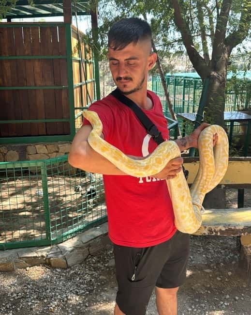 From Alanya: Lion Safari & Green Canyon Splash Feast w/Lunch - Key points to know before booking