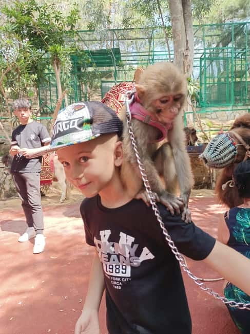 From Alanya: Lion Safari & Green Canyon Splash Feast w/Lunch - What $27 buys you
