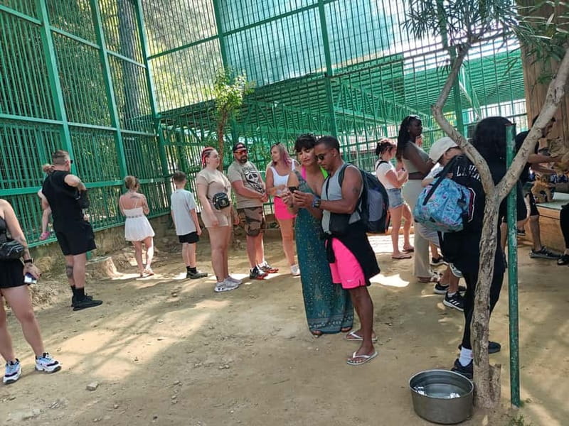From Alanya: Lion Safari & Green Canyon Splash Feast w/Lunch - Guides, timing, and the feel of the day