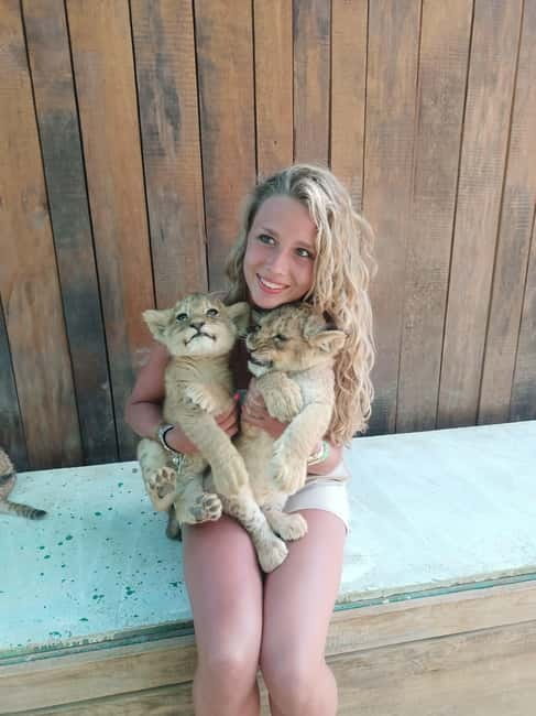 From Alanya: Lion Safari & Green Canyon Splash Feast w/Lunch - Forty-five minutes with lions and other animals