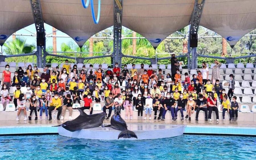 From Belek: Dolphin Show with Transfers - How this compares with making your own way