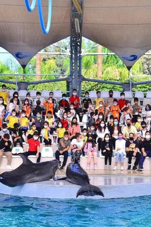 From Belek: Dolphin Show with Transfers - Leaving your hotel in Belek