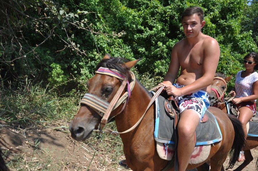 From Bodrum/Gümbet: Guided Horseback Riding Expereince - What the positive feedback tells me