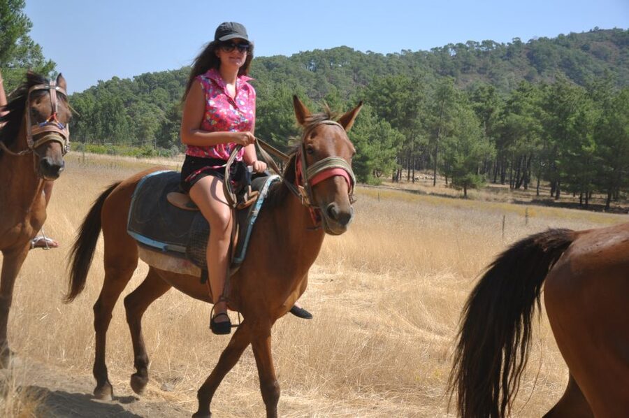 From Bodrum/Gümbet: Guided Horseback Riding Expereince - Price, timing, and what you receive