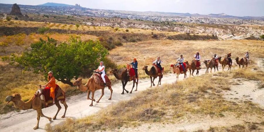 From Cappadocia: Sunrise or Sunset Camel Riding Day Trip - Should you book this Cappadocia camel ride?