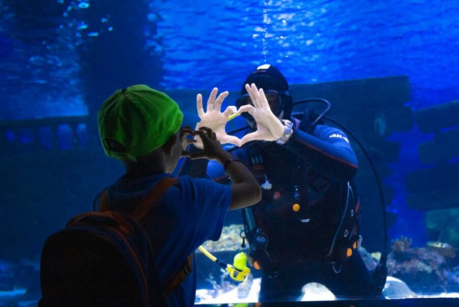 From City of Side: Antalya Aquarium Tour, Ticket & Transfer - A full day from Side to Antalya