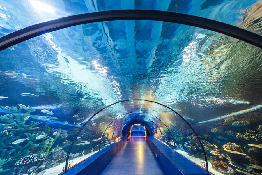 From City of Side: Antalya Aquarium Tour, Ticket & Transfer - Düden Waterfall gives the bus ride a good first stop