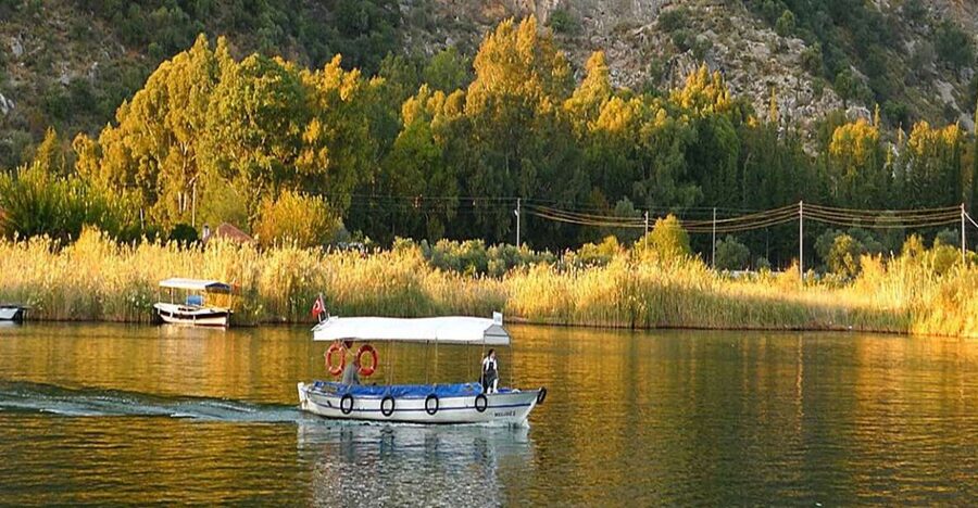 From Fethiye: Dalyan Day Trip with Mud Bath and Turtle Beach - What the $65 Dalyan day trip really gives you