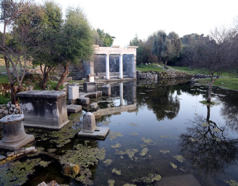 From Fethiye: Dalyan Day Trip with Mud Bath and Turtle Beach - The sulfur mud bath and hot spring pools