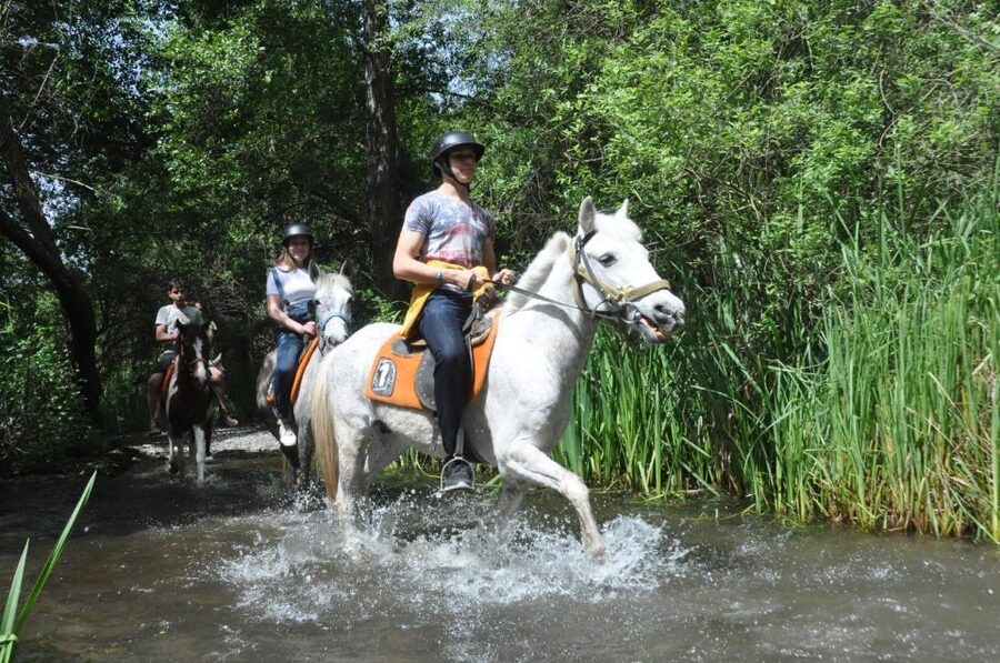 From Fethiye: Horse Riding Adventure - Riding for 1.5 hours through the countryside